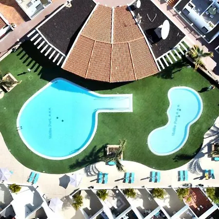 Cozy One Bedroom Apartment,Wifi, Pool In Tenerife South Costa Adeje (Tenerife)